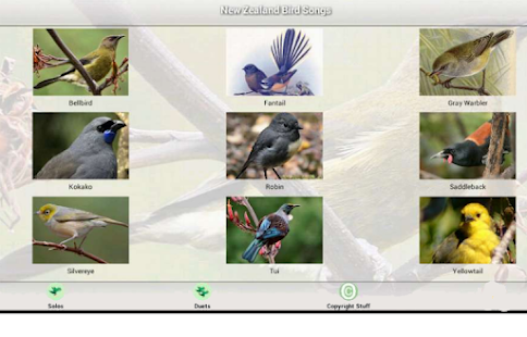 How to download New Zealand Bird Songs 1.1 apk for android