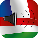 French to Hungarian phrasebook Apk