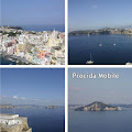 Procida Mobile Apk