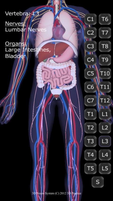 3D Neuro System Screen 2