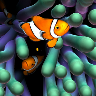 Get Fondos De Pantalla Que Se Mueven De Animales Gif