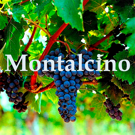 Montalcino 旅遊 App LOGO-APP開箱王