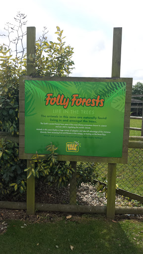 Folly Forest