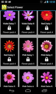 花活壁纸免费(圖4)-速報App