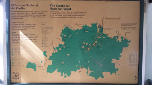 El Yunque Rainforest Map