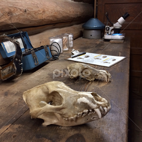 Research by Bridget Wegrzyn - Artistic Objects Education Objects