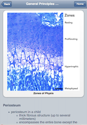 【免費醫療App】Fracture Classification-APP點子