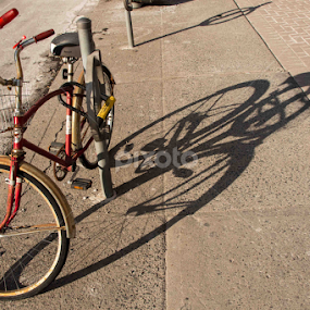 Urban bike by Elsie Nisonen - City,  Street & Park Street Scenes