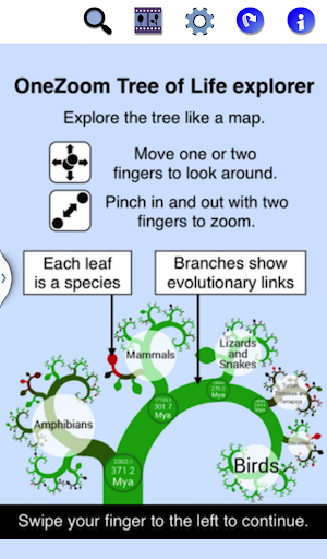 【免費教育App】OneZoom Tree of Life Explorer-APP點子