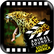 Best South American Animals  Icon