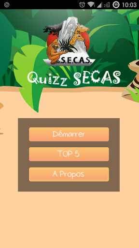 Quizz SECAS