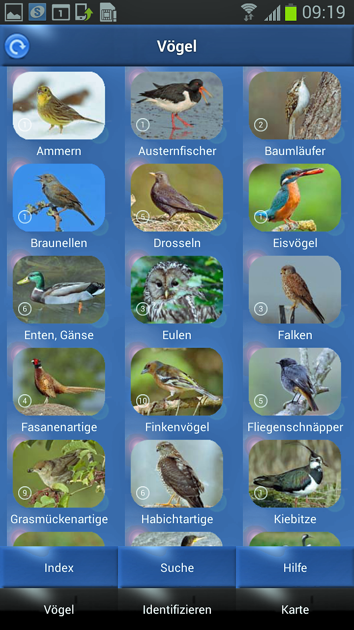 Vogel Id - Vögel im Garten Screen 3