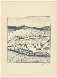 Heuvellandschap met akkers