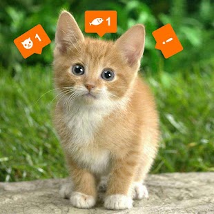 Free Download Giddylizer APK for Android