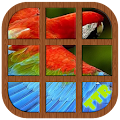 Parrot Sliding Puzzle Apk