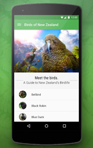 Birdlife of New Zealand Free