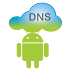 DNS Server3.3