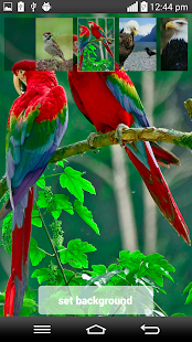 How to install Birds Clock Live Wallpaper 1.0 apk for laptop