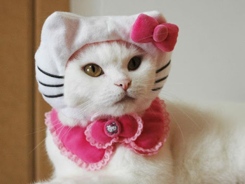 kitty-prin02%5B1%5D.JPG