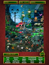 Hidden Objects Lost Forest poster 17