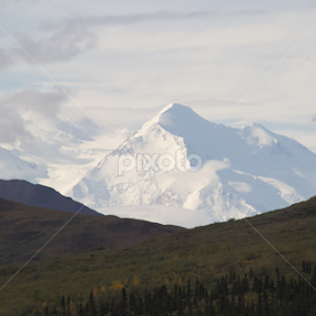 Denali Mountain by Michelle DeWeese Webber - Landscapes Mountains & Hills