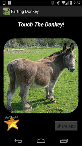 【免費娛樂App】Farting Donkey - Donkey Farts-APP點子