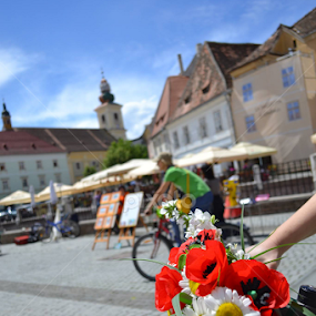 Summer COME BACK!!!:) by Calin Covaci - Flowers Flower Arangements