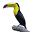 Know Your Birds Download on Windows