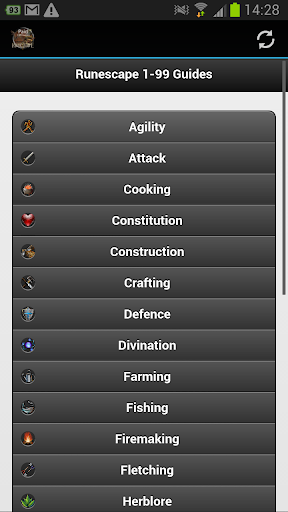 1-99 Runescape Guide Paid