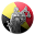 BeLaws Download on Windows