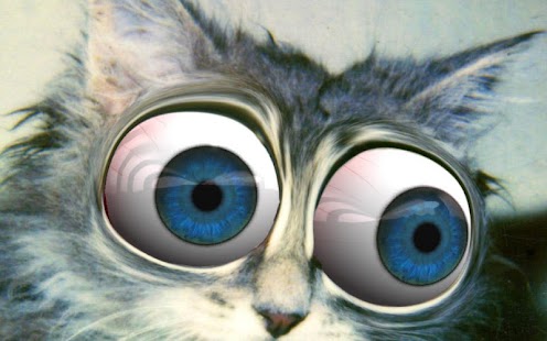 Eye See You Screenshots 1