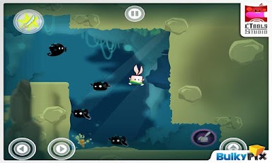Kung Fu Rabbit