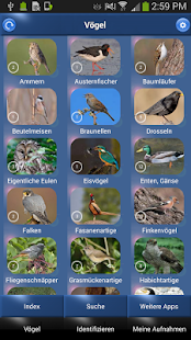 Vogelstimmen Id - Ruf + Gesang(圖3)-速報App