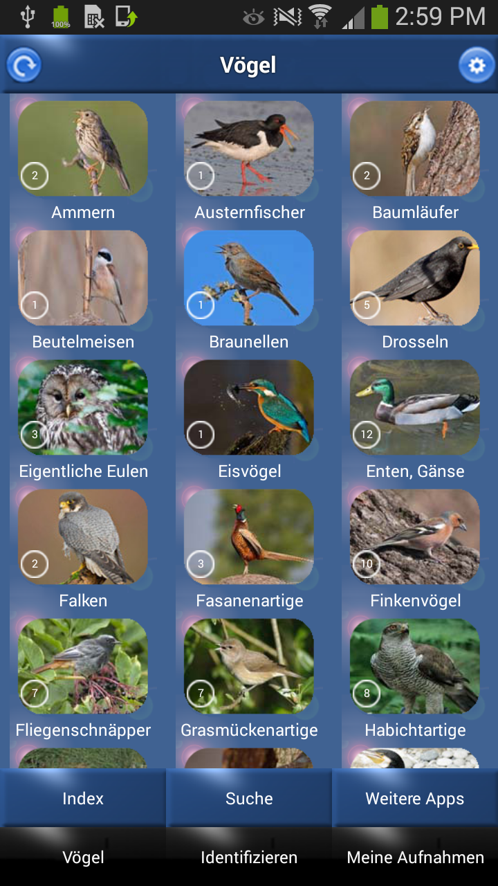 Vogelstimmen Id - Ruf + Gesang Screen 3