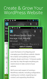 WordPress Basics poster 1