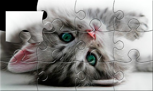 猫咪，小猫，猫拼图(圖1)-速報App