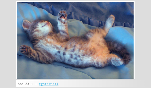 Kittens Soon Screenshots 3