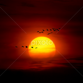 SUNSET by Bunnawath B-FOTO - Landscapes Sunsets & Sunrises