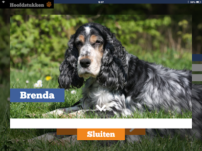 Nieuwe Hond Screenshots 4