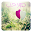 صور حب Download on Windows