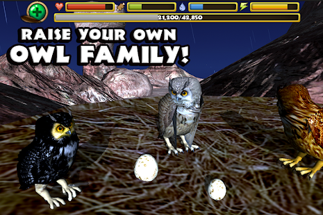 Owl Simulator(圖3)-速報App