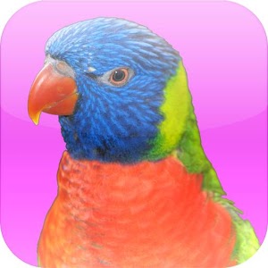 Animal Sounds with Photos for PC and MAC