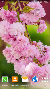 Cherry Blossom Live Wallpaper(圖4)-速報App