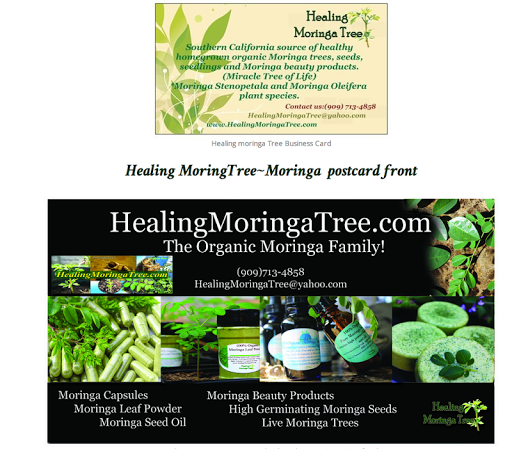 【免費健康App】Healing Moringa Tree LLC-APP點子