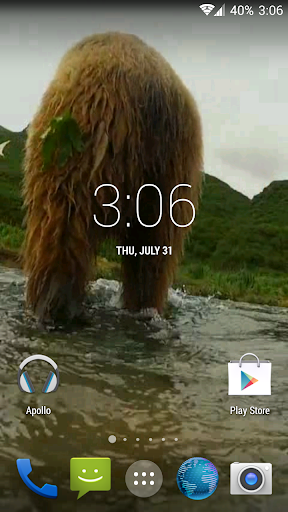 Grizzly HD. Live Wallpaper