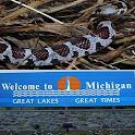 Reptiles of Michigan