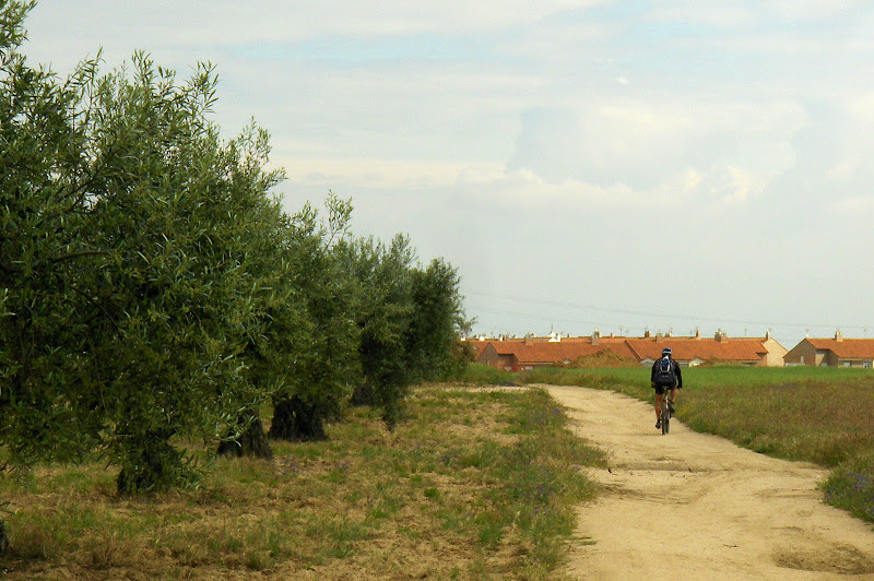 olivares en Illescas