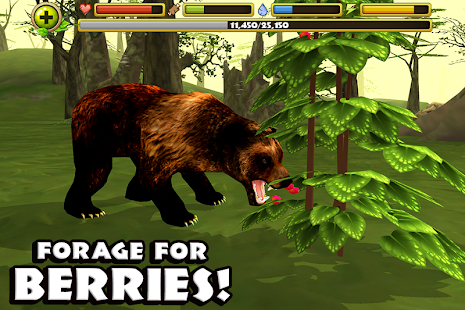 Wildlife Simulator: Bear(圖5)-速報App