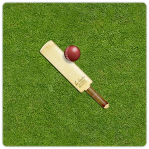 Gully Cricket Scorer Pro 2.2.1