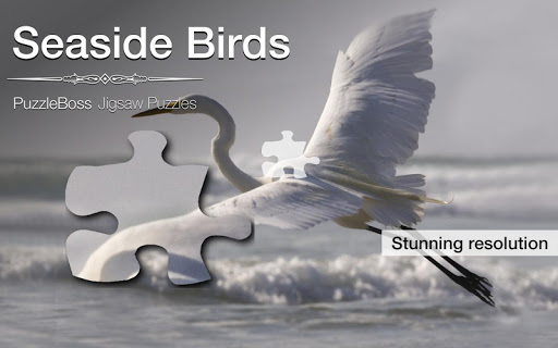 Seaside Bird Jigsaw Puzzles